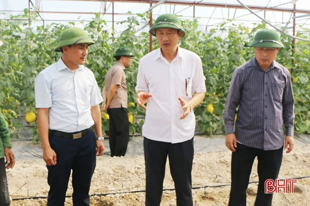 Điều tiết nước hợp lý, hoàn thành gieo cấy hè thu ở Hà Tĩnh trước 10/6