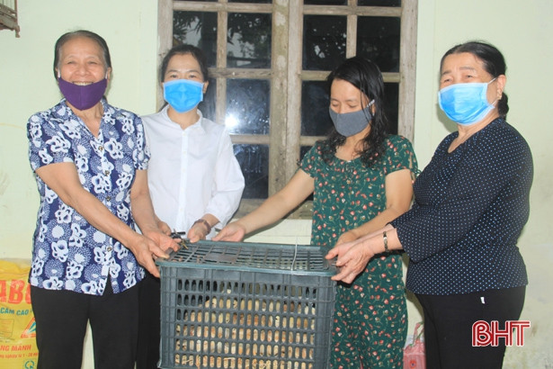 Trao tặng 1.300 con gà giống cho hộ nghèo ở Nghi Xuân