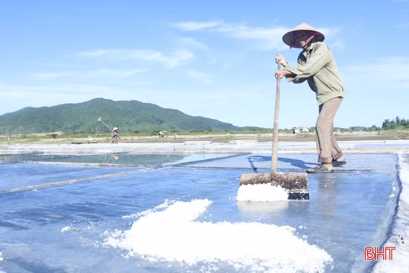 Những người “đón nắng” trên đồng muối Hà Tĩnh