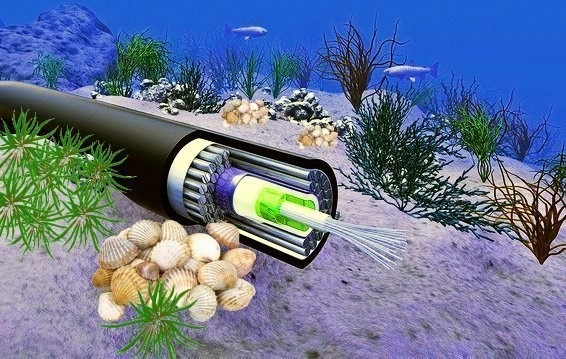 Sự cố cáp quang biển AAG đã được khôi phục hoàn toàn hình ảnh 1 Sự cố cáp quang biển AAG đã được khôi phục hoàn toàn