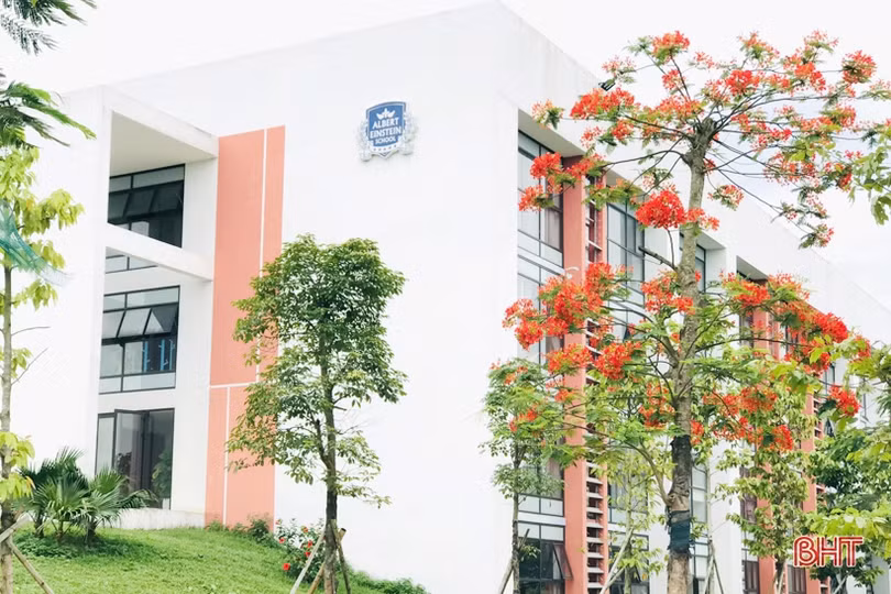 Trường Albert Einstein: Cùng học sinh vượt qua những ngày hè oi ả