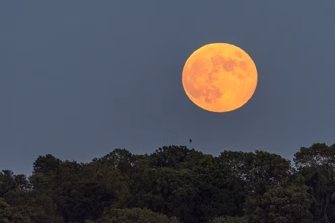 Hình ảnh ấn tượng của nguyệt thực đêm 6/6