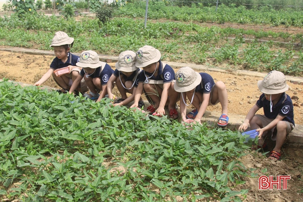 Những “nông dân” tí hon trên vườn rau xanh Trường Mầm non Trung Kiên