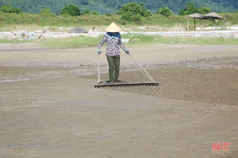 Những người “đón nắng” trên đồng muối Hà Tĩnh