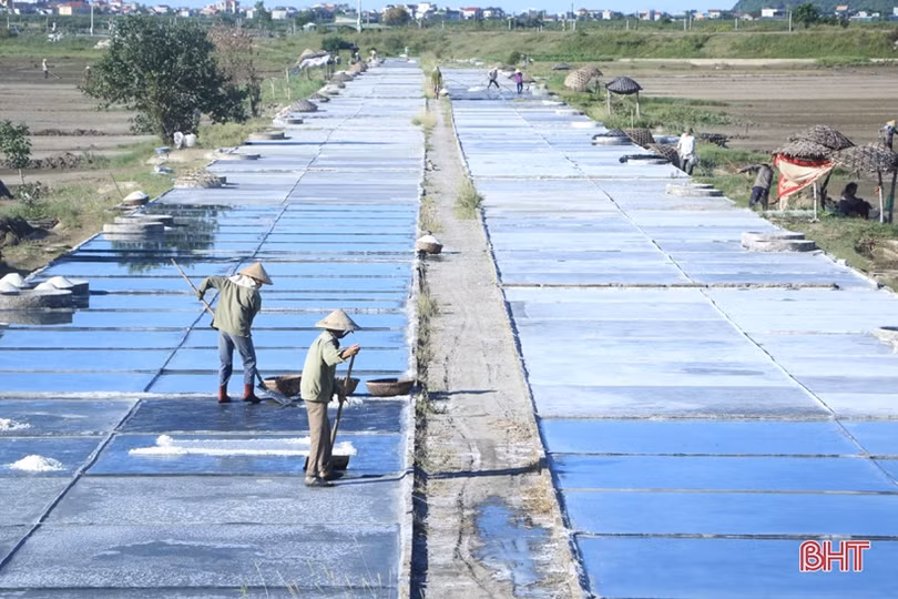 Những người “đón nắng” trên đồng muối Hà Tĩnh