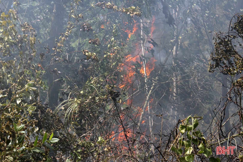 Kịp thời khống chế đám cháy trên núi Hồng Lĩnh giữa cao điểm nắng nóng