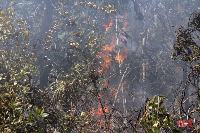 Kịp thời khống chế đám cháy trên núi Hồng Lĩnh giữa cao điểm nắng nóng