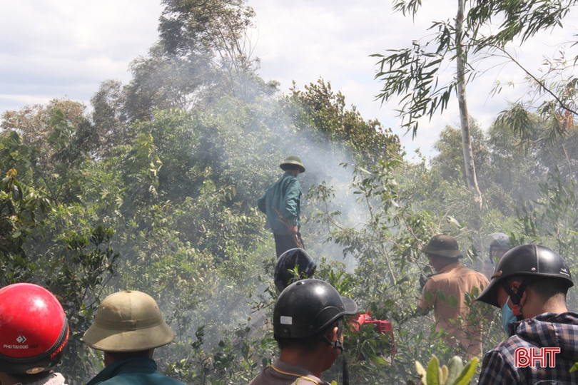Kịp thời khống chế đám cháy trên núi Hồng Lĩnh giữa cao điểm nắng nóng