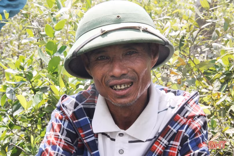 Kịp thời khống chế đám cháy trên núi Hồng Lĩnh giữa cao điểm nắng nóng