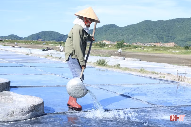 Những người “đón nắng” trên đồng muối Hà Tĩnh