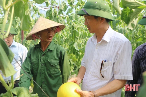 Điều tiết nước hợp lý, hoàn thành gieo cấy hè thu ở Hà Tĩnh trước 10/6