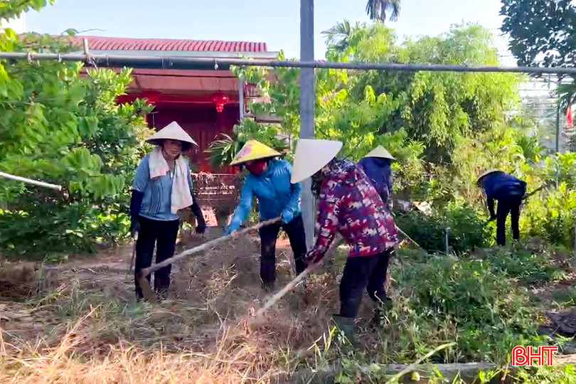 Hàng trăm hội viên phụ nữ xã Lưu Vĩnh Sơn (Thạch Hà) ra quân chỉnh trang vườn hộ cho các gia đình người có công trên địa bàn (ngày 7/7/2024). a5.jpg