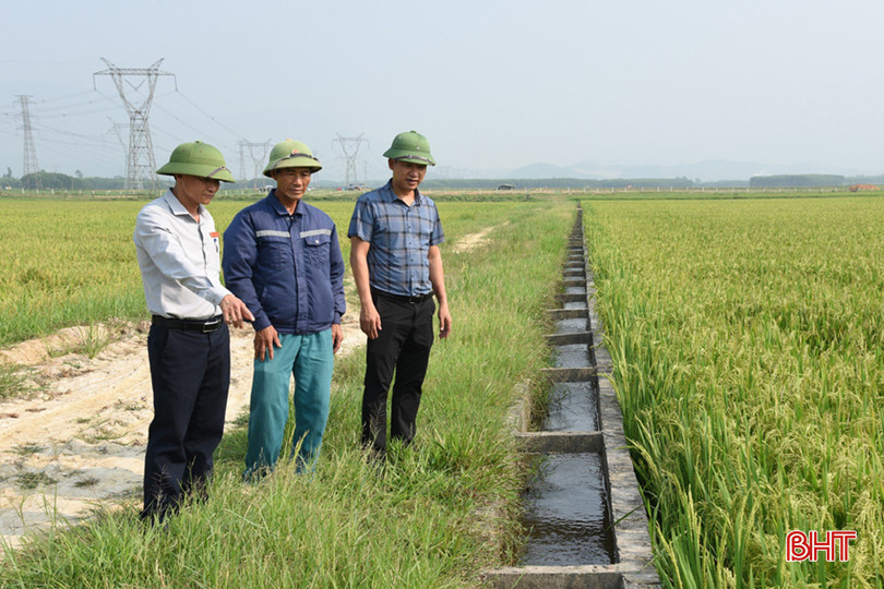 Ông Nguyễn Văn Thanh (giữa) trao đổi về tình hình canh tác trên cánh đồng thửa lớn. A3.jpg