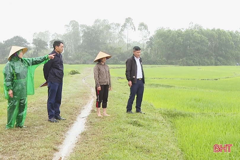 Bà Nguyễn Thị Phận chỉ vị trí các thửa ruộng của mình bị chìm dưới lòng hồ Ba Khe. A3.jpg