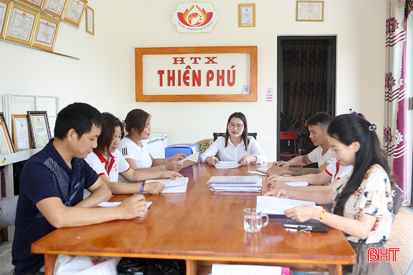 Các thành viên HTX Thiên Phú (Cương Gián, Nghi Xuân) tham gia buổi họp tổng kết hoạt động quý I/2024. a1.jpg