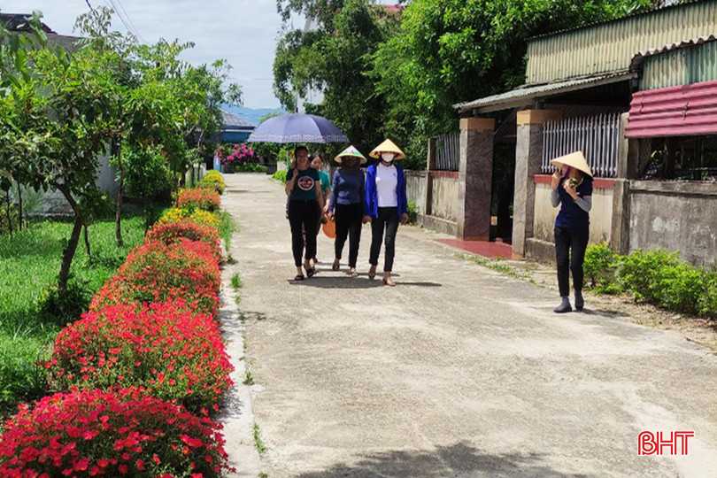 Một tuyến đường hoa ở thôn Trung Giang A5.jpg