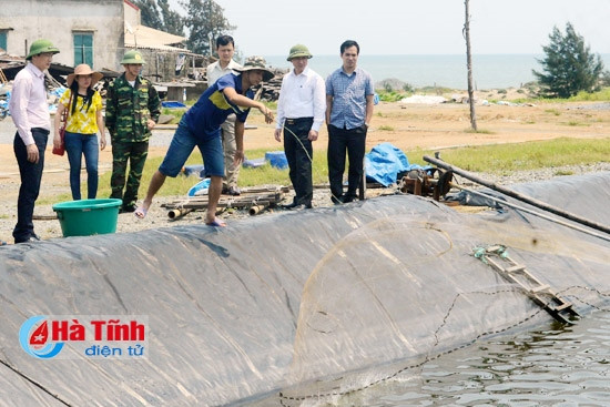 ... và vùng nuôi tôm của Công ty Grobest