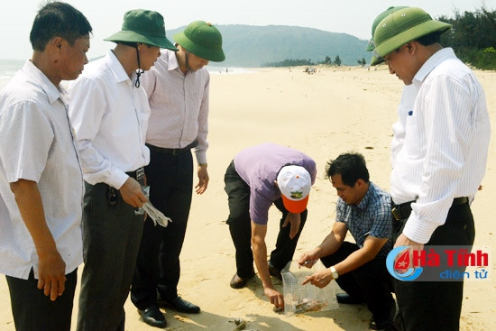 Ngành chuyên môn tiếp tục lấy mẫu phân tích