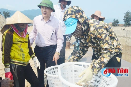 Cá không còn chết hàng loạt, ngư dân Kỳ Phương lại ra biển và có sản phẩm thu hoạch