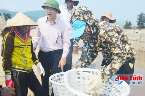 Cá không còn chết hàng loạt, ngư dân Kỳ Phương lại ra biển và có sản phẩm thu hoạch