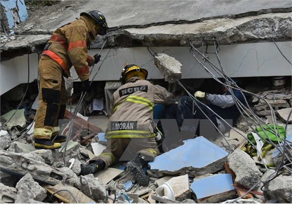 Động đất tại Ecuador: Con số thiệt mạng đã lên tới 350 người ảnh 1