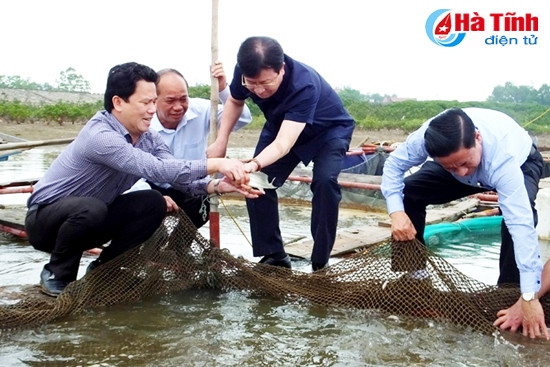 Phó Thủ tướng Chính phủ Trịnh Đình Dũng cùng lãnh đạo tỉnh kiểm tra thiệt hại tại Công ty TNHH Grobest... ...và kiểm tra lứa cá vừa được thả cách đây 10 ngày ở xã Kỳ Hà, thị xã Kỳ Anh