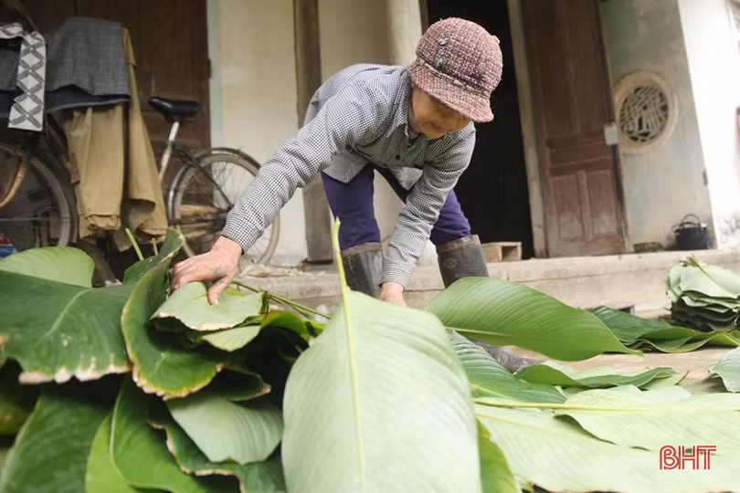“Thủ phủ lá dong” lớn nhất Hà Tĩnh hối hả vào vụ tết