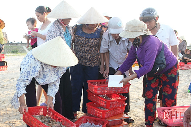Cẩm Xuyên đạt 12.270 tấn sản lượng thủy hải sản trong năm 2018