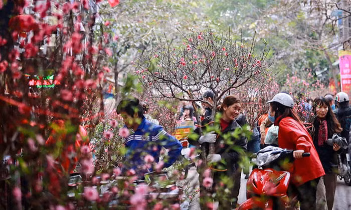 Tác giả “Loan, từ cuộc đời của một con chim Phượng Hoàng” và hành trình đi tìm nguồn cội ở Hà Tĩnh