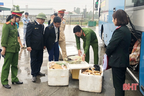 Hơn 100 kg da động vật, 15 cá thể dê “nấp” xe khách chạy qua Hà Tĩnh