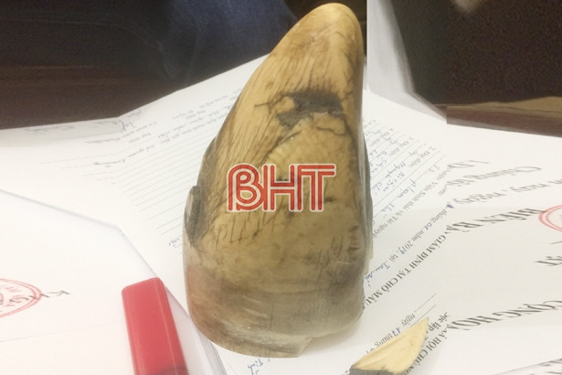 Bộ Công an phá vụ nuôi nhốt, buôn bán tê tê cực lớn ở Hà Tĩnh