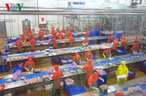 lạc quan về tăng trưởng kinh tế việt nam trong năm 2019 hình 1 Lạc quan về tăng trưởng kinh tế Việt Nam trong năm 2019