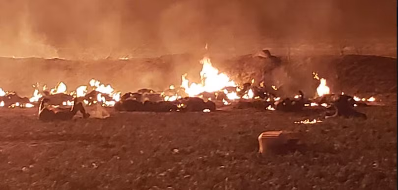 Hiện trường lửa cháy ngùn ngụt, người bị cháy đen do nổ đường ống ở Mexico