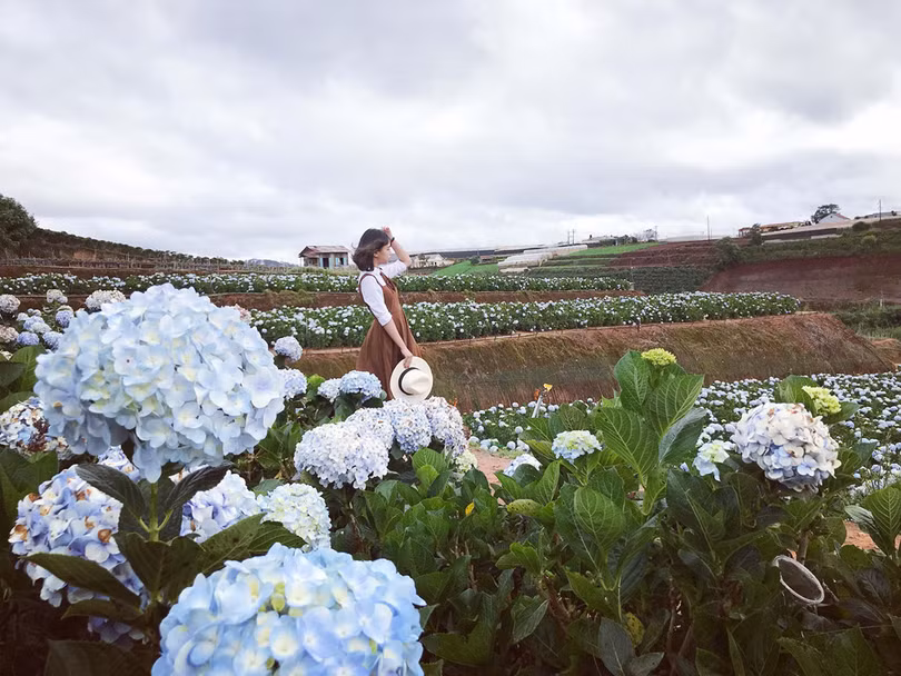 Top 8 thiên đường du lịch giúp bạn thoát khỏi cái lạnh miền Bắc