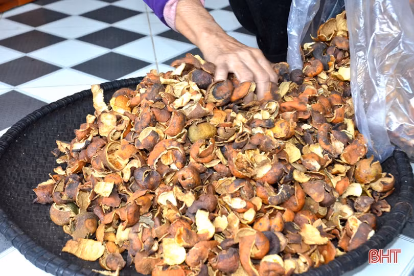 Lên vùng thượng Kỳ Anh, xem Bí thư Chi bộ tiên phong làm “vườn sạch”