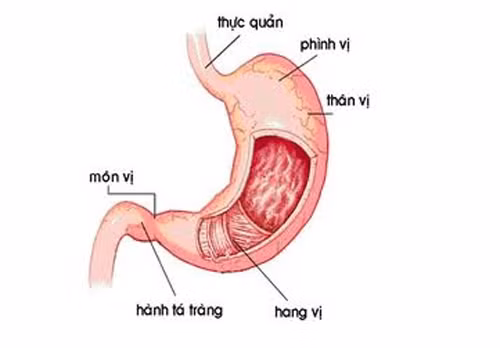 Buồn nôn - Cảnh báo bệnh gì?