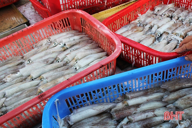 Cẩm Xuyên đạt 12.270 tấn sản lượng thủy hải sản trong năm 2018
