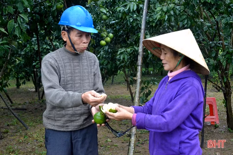 Lên vùng thượng Kỳ Anh, xem Bí thư Chi bộ tiên phong làm “vườn sạch”