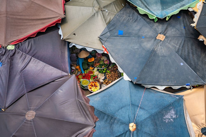 Rạn san hô tuyệt đẹp ở Hòn Yến, Phú Yên nổi bật trên tạp chí du lịch Mỹ