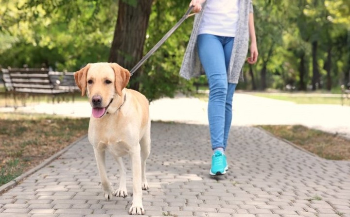 Mẹo giảm cân để đón Tết với một thân hình hoàn hảo