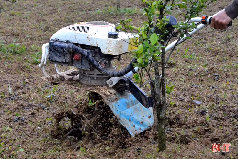 Lên vùng thượng Kỳ Anh, xem Bí thư Chi bộ tiên phong làm “vườn sạch”