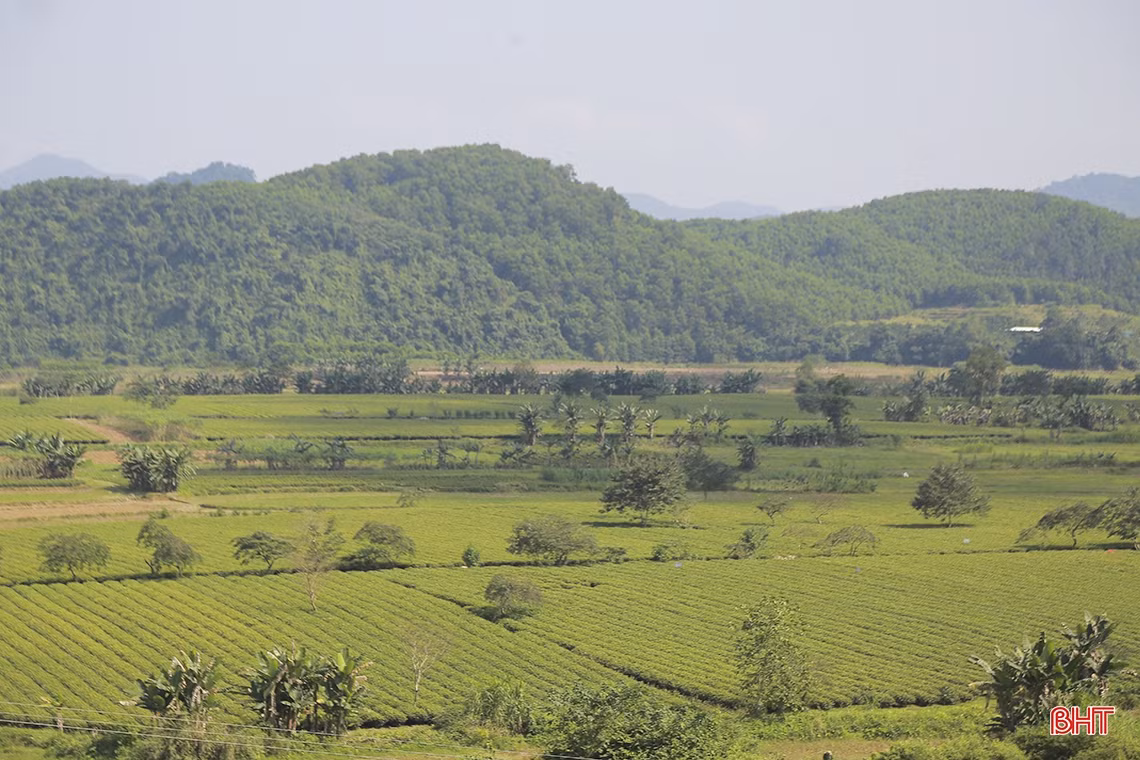 Nữ trưởng thôn “3 vai” giúp người dân vùng biên Hà Tĩnh xóa nghèo