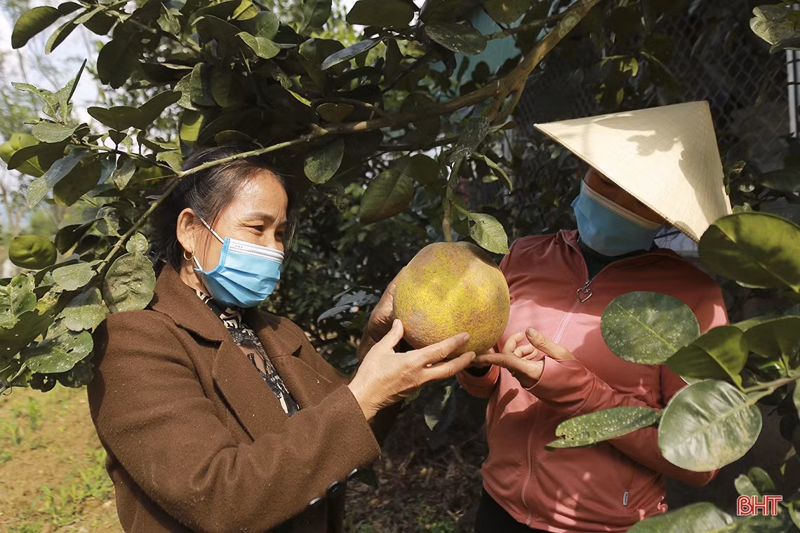 Nữ trưởng thôn “3 vai” giúp người dân vùng biên Hà Tĩnh xóa nghèo