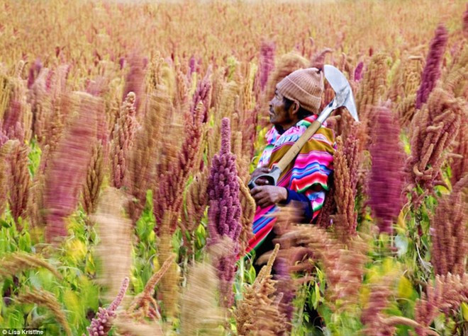 bo anh tuyet dep ve cac nen van hoa tren the gioi