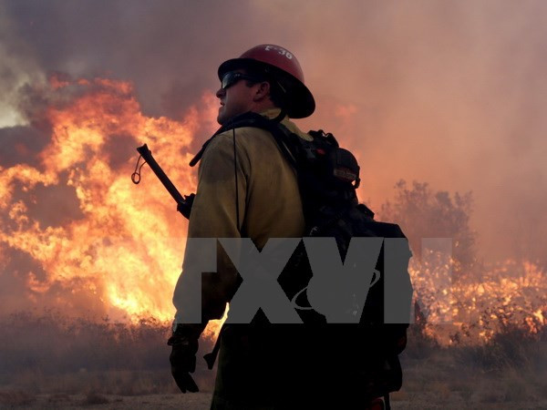 Cháy rừng tại Mỹ tạo thành "lốc lửa," đe dọa hơn 82.000 người ảnh 1 chay rung tai my tao thanh loc lua de doa hon 82 000 nguoi