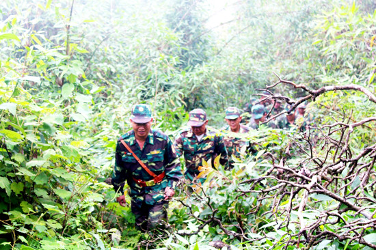giu xanh nhung canh rung