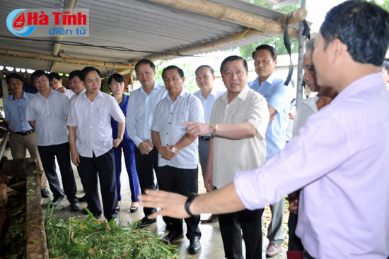 se ho tro ha tinh nhan rong mo hinh chan nuoi lien ket