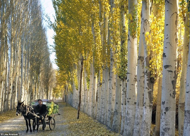 bo anh tuyet dep ve cac nen van hoa tren the gioi