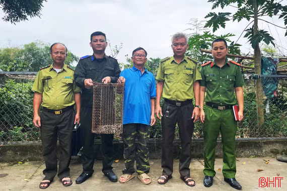 Bàn giao cá thể trăn đất cho Vườn Quốc gia Vũ Quang