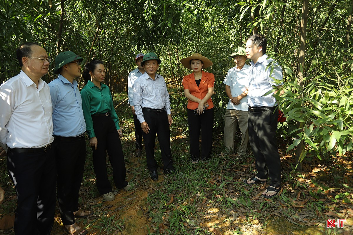 bqbht_br_khoang-san-4.jpg